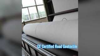 CE Certified EN 13249 Non Woven Geotextile for Road Projects