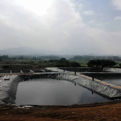 UV Resistant 1.5mm Smooth HDPE Geomembrane Liner for Agriculture Irrigation Reservoirs