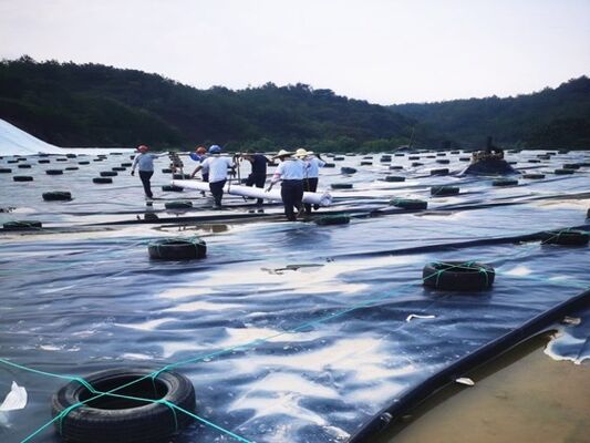 1.5mm HDPE Geomembrane Liner With Specialized Chemical Resistance For Mining Heap Leach Pads