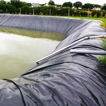 Root Barrier Waterproof HDPE Geomembrane Liner Sheet for Commercial Roof Garden Insulation