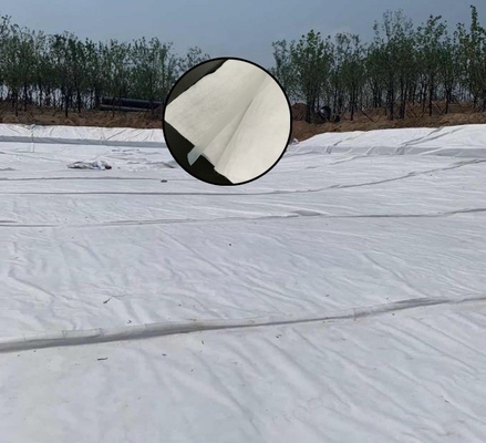 Non Woven Fabric Composite Geomembrane Traffic Tunnel Construction Isolation