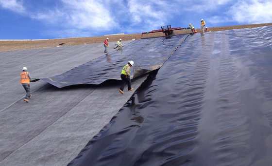 0.2mm PVC Geomembrane Liner Roof Landfill Pool Tank Pond HDPE Dam Liner