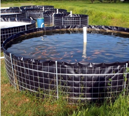 Smooth Surface PVC Geomembrane Liner Thickness 0.2~3mm For Shrimp Fish Feeding