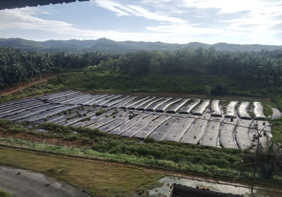 Excellent UV Resistance Geotextile Dewatering Tubes Cylinder for Effective Water Treatment