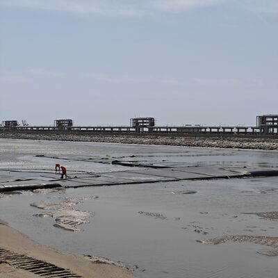 High Permeability Geotextile Dewatering Tubes For Municipal Sludge Treatment Projects