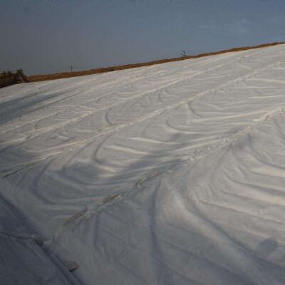 Polyester Short Fiber Needle Punched Non Woven Geotextile For Pavement Reinforcement