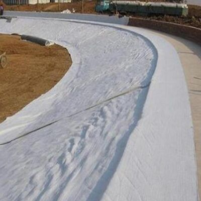 200g 250g Needle Punched Polyester Non Woven Geotextile for Retaining Wall Drainage