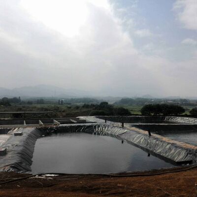 Durable HDPE Geomembrane Liner Agricultural Farm Pond Liner For Safe Aquaculture Breeding