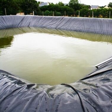 Durable HDPE Geomembrane Liner Agricultural Farm Pond Liner For Safe Aquaculture Breeding