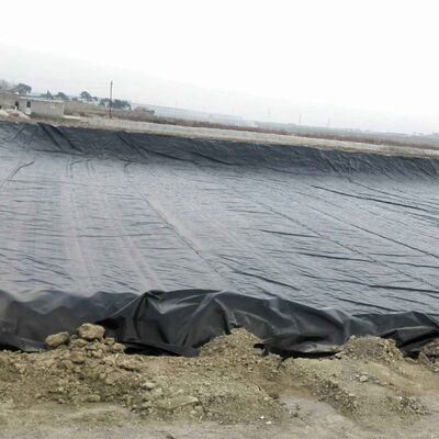 Waterproof HDPE Geomembrane Pond Liner for Commercial Fish and Shrimp Aquaculture