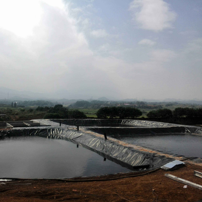 Waterproof Barrier HDPE Geomembrane Liner For Industrial Chemical And Wastewater Lagoons