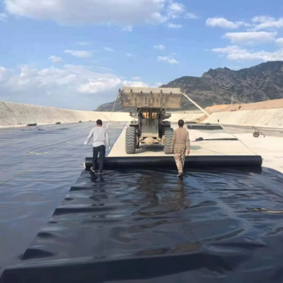 Root Barrier Waterproof HDPE Geomembrane Liner Sheet for Commercial Roof Garden Insulation