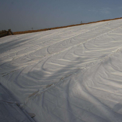 Black Non Woven Geotextile Weed Barrier Fabric For Orchard And Garden Pathways
