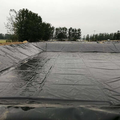 Black HDPE Geomembrane Liner for Saltwater Shrimp and Fish Ponds