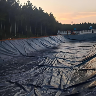 Black HDPE Geomembrane Liner for Saltwater Shrimp and Fish Ponds