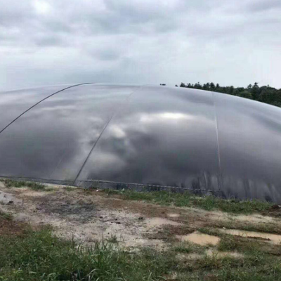 Black HDPE Geomembrane Pond Liner Sheet for Fish Farm Waterproofing
