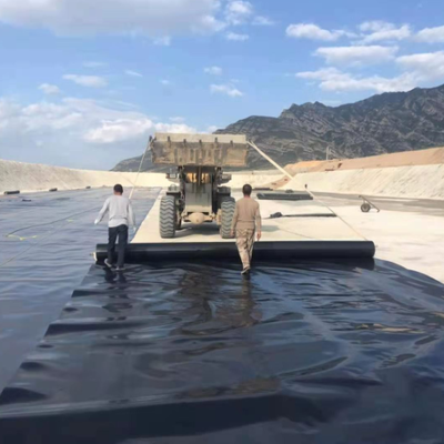 Black HDPE Geomembrane Pond Liner Sheet for Fish Farm Waterproofing
