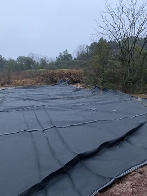 Woven Geotextile Tube Container For Swampland Reclamation Project