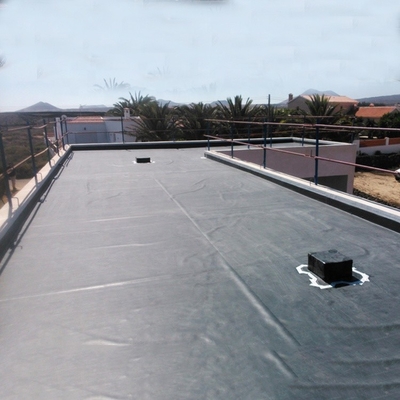 1mm 2mm LDPE Geomembrane Liner Artificial Waterproof Geomembrane Lake Tank