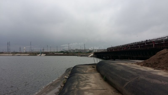200/200KN Filtering Sludge Dewatering Tube C12.57 L50