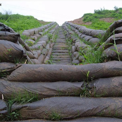 Environmental Projects Nonwoven Geotextile Geobag With Seeds