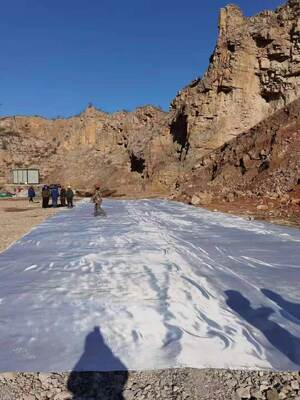 5.2m Width Woven Geotextile Fabric Offering Tensile Strength 50KNm to 1200KNm and CBR Puncture Strength 12KN or More Applied in Slope Reinforcement